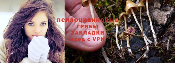 молекула духа Елабуга