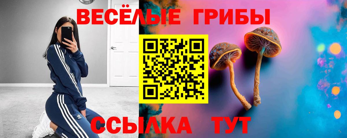 Галлюциногенные грибы мицелий Аша
