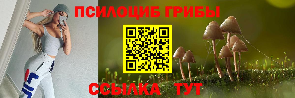Аша  Псилоцибиновые грибы Psilocybine cubensis  Галлюциногенные грибы мицелий  Вход с VPN 